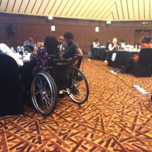 "Amplifying the role of women, Youth and People with Disabilities in implementing Zimbabwe’s Revised Nationally Determined Contribution and National Adaptation Plan”